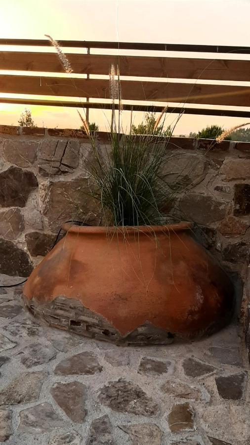 Savvas Brian Mountain House In Paphos Villa Pendalia ภายนอก รูปภาพ