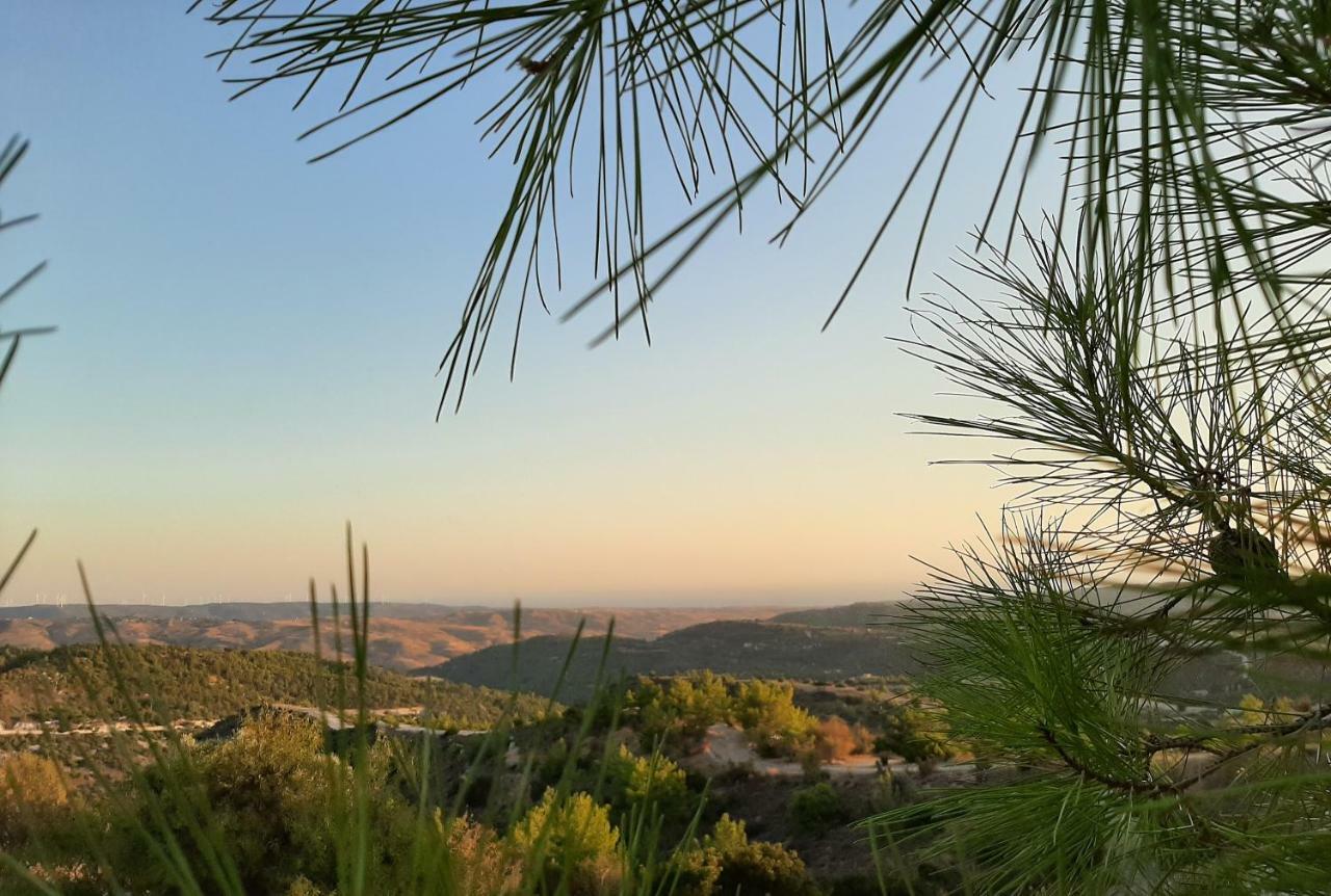 Savvas Brian Mountain House In Paphos Villa Pendalia ภายนอก รูปภาพ